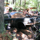 Illustration for article titled Massive Secret Mustang Junkyard Found In Rhode Island Forest